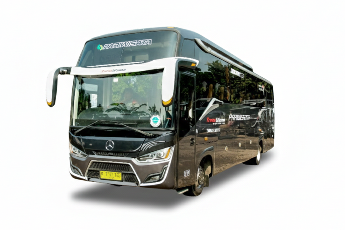 Medium long black - 39 Seats
